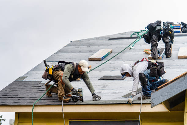 Professional Roofing technician working in Forestville, WI
